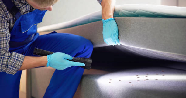 Best Mosquito Control Services  in Piedmont, OK