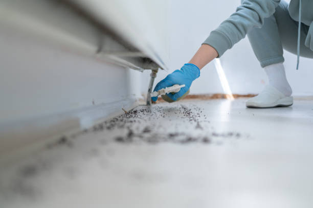 Best Pest Removal Services  in Piedmont, OK